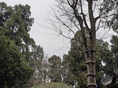 -武侯墓风景区