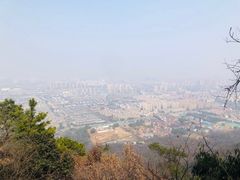 -惠山国家森林公园