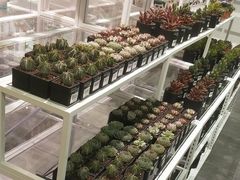 -KKV(天津津南吾悦广场店)