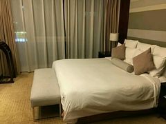 -南桥绿地铂骊酒店