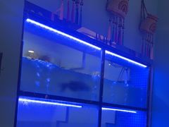 -云中鱼蒸汽石锅鱼(川沙百联店)