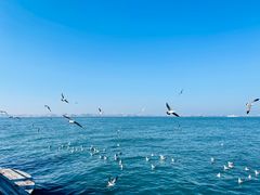 -大连海昌东方水城