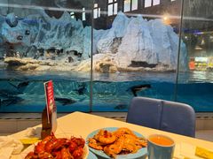 -帝企鹅自助餐厅•儿童岛•真企鹅(长隆企鹅酒店)