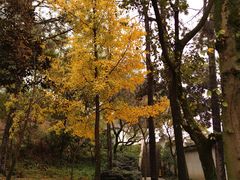 -苏州上方山国家森林公园