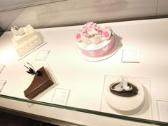 -BLACKSWAN黑天鹅(环球店)
