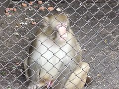 -森林公园(尖草坪区)