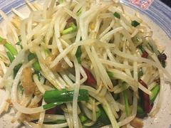 虾干炒豆芽-小铫鸡汤