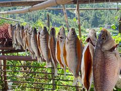 -飞霞风景名胜区