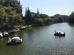 -太子山公园(园东路)