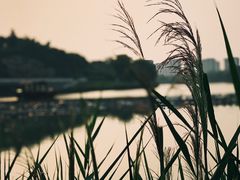 -河北省园博园