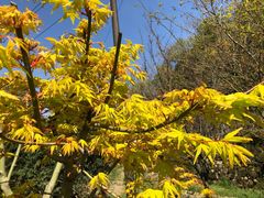 -溪口-滕头旅游景区