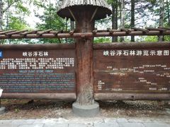 -峡谷浮石林景区