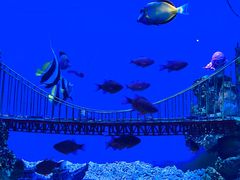 -太平洋海底世界