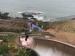 -漳州滨海火山岛自然生态风景区