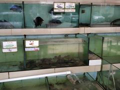 -海上驿站渔家菜馆