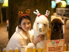 -杭州开元森泊度假乐园