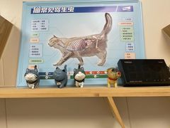 -美联众合爱康动物医院•复杂内科•肿瘤科•牙科•腔镜诊疗中心