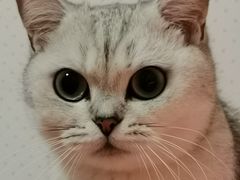 -派特宠物医院(圆融广场店)