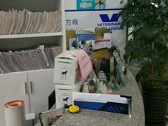 -爱侣宠医·鹦鹉专科·小型哺乳类·异宠专科(灵石路店)