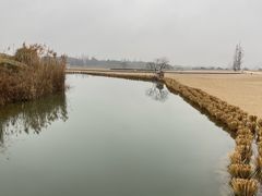 -良渚古城遗址公园
