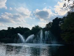 -上海共青森林公园