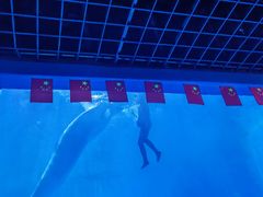 -多彩贵州城极地海洋世界