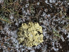 -硗碛藏寨·神木垒景区