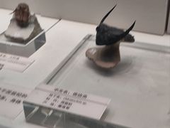 -天津自然博物馆