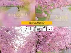 -上海辰山植物园