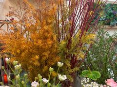 -花屿鲜花(淡水店)