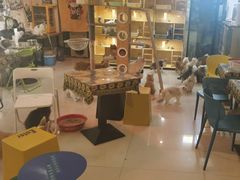 -平行世界·猫咖(首经贸店)