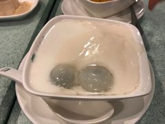 杏汁豆腐花汤圆-松记糖水店(铜锣湾分店)
