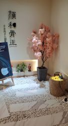 -颜和骨正·明哲式骨相美学整骨