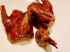 脆皮妙龄鸽-新荣记(新源南路店)