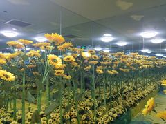 -天津梵高星空艺术馆(天河城旗舰店)