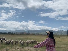 -青海湖国家重点风景名胜区