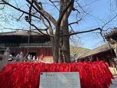 -红螺寺
