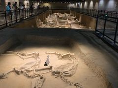 -洛阳周王城天子驾六博物馆