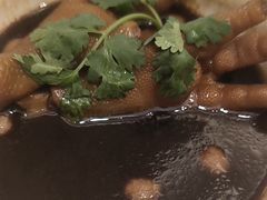 -龙悦湾酒家·八阵鱼生·渔人码头店
