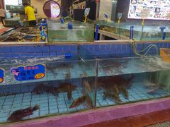 水产区-天鲜阁·海鲜粤菜·33年老字号(石槎白云站店)