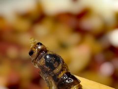 -怀化名堂(正清路店)