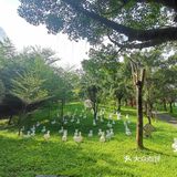 温泉项目：老少皆宜，露天温泉，有红酒浴