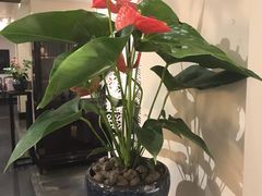 -孔乙己(后海店)