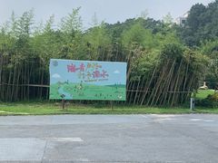 -南京市无想山景区