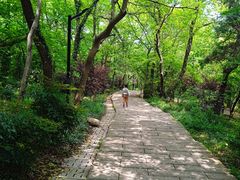 -虞山风景区