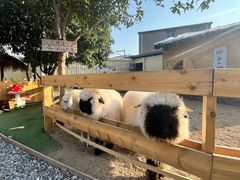 -HERRE·FARM 赫尔露营农场·团建聚会包场