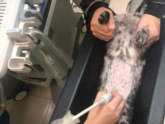 -美联众合24小时·皮肤科·外科·全科诊疗中心(华苑分院)