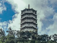 -深圳国际园林花卉博览园