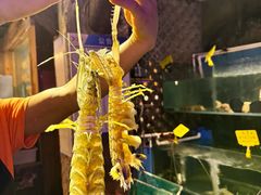 -辉记炭烧海鲜大排档·老字号(福田店)