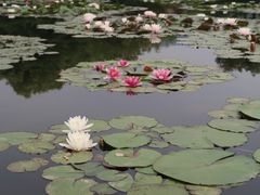 -白马涧龙池景区
